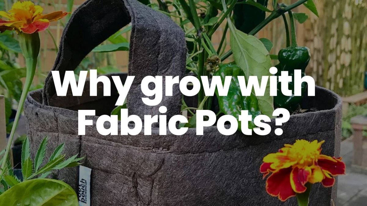Home - Cannabis Fabric Pots