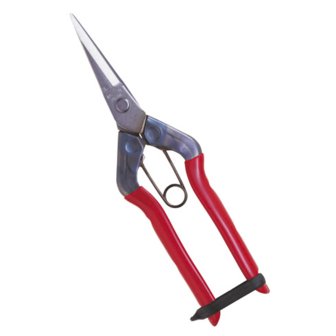 chikamasa-t-550s-stainless-