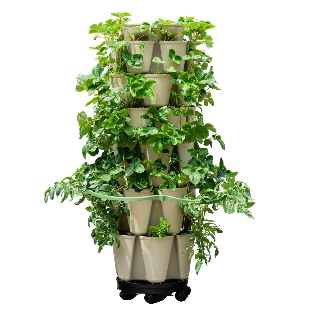 【新品】Hang out GRNT Plants Statnd 650&440 GreenStalk Original & Leaf Inventor's Bundle