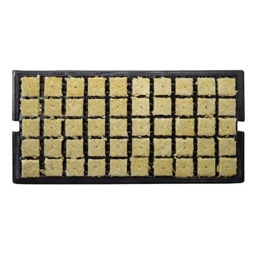 Grodan AOK 1.5'' Starter Plugs in Prefilled Tray Indoor Farmer