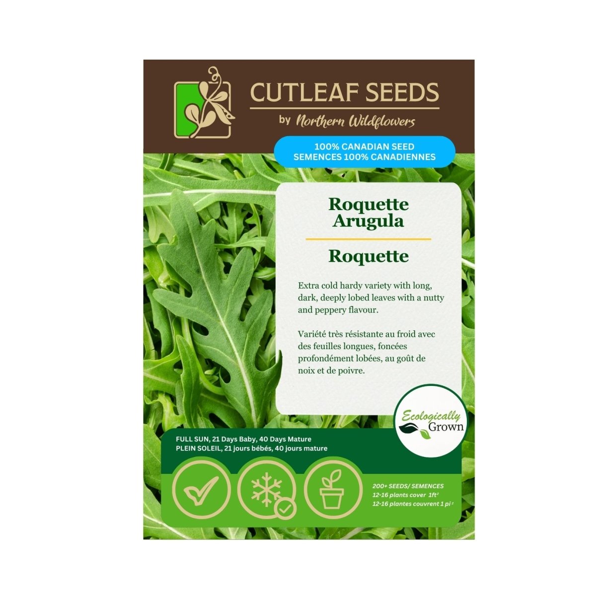 planting arugula seeds indoors Roquette Arugula Seeds