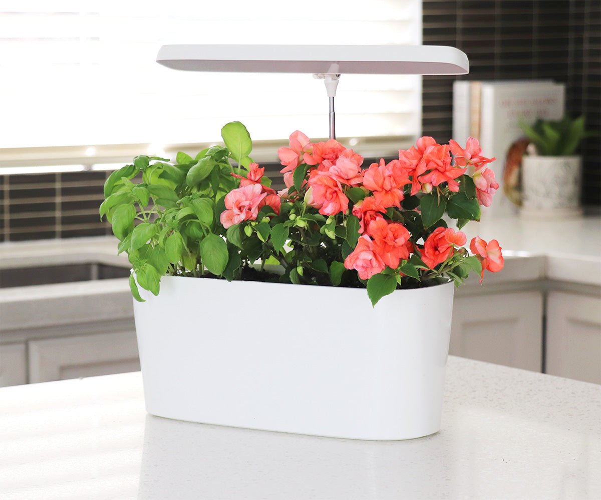 SunBlaster Nano Growlight Garden