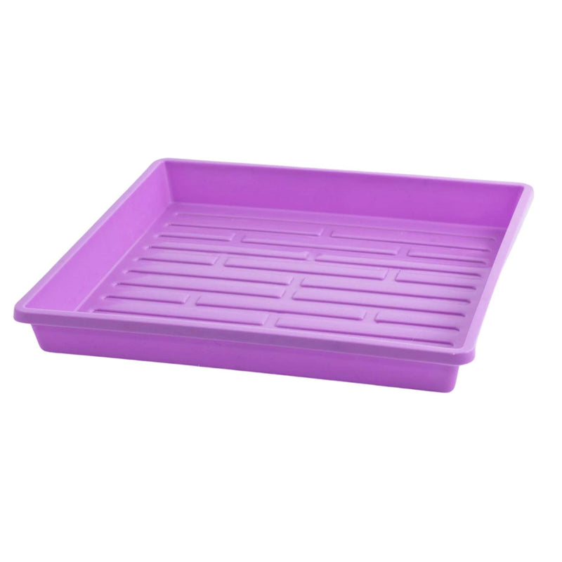 Bootstrap Farmer 1010 Extra Strength Shallow Seed Trays - Indoor Farmer