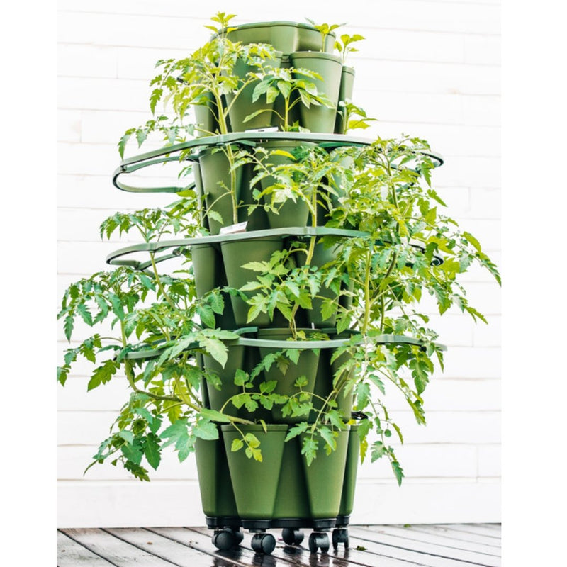GreenStalk Plant Support - Set of 3 - Indoor Farmer