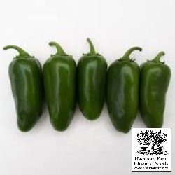 Hot Peppers - Early Jalapeno Seeds - Indoor Farmer