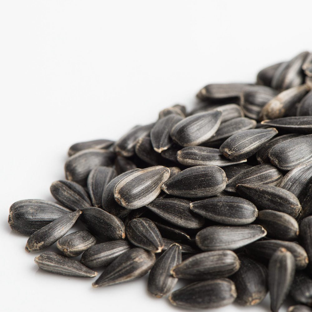 Most Popular Microgreen & Sprout Seeds Indoor Farmer