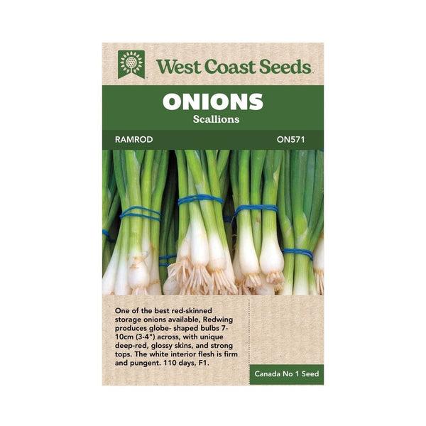 Onion - Ramrod Scallion Seeds - Indoor Farmer