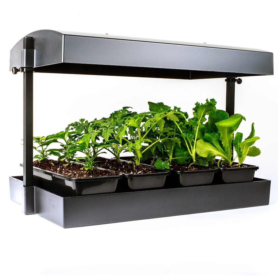 Sunblaster Growlight Garden LED Indoor Farmer