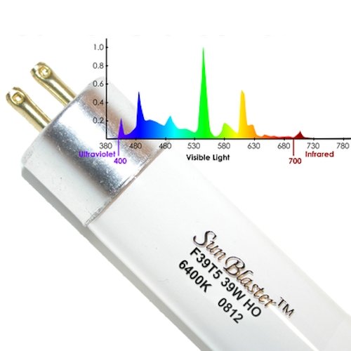 SunBlaster T5HO 6400K (Bulb Only)