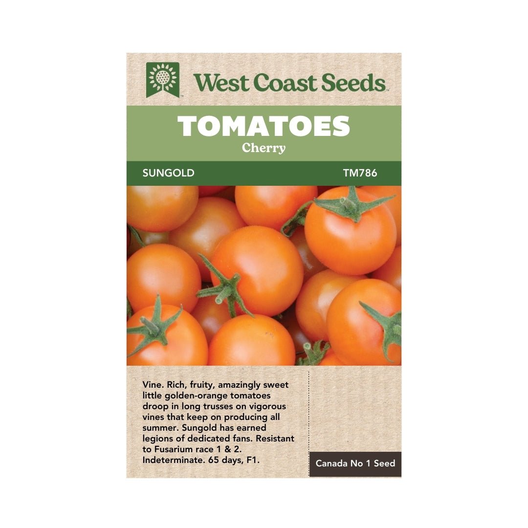 Sungold Cherry Tomato Seeds