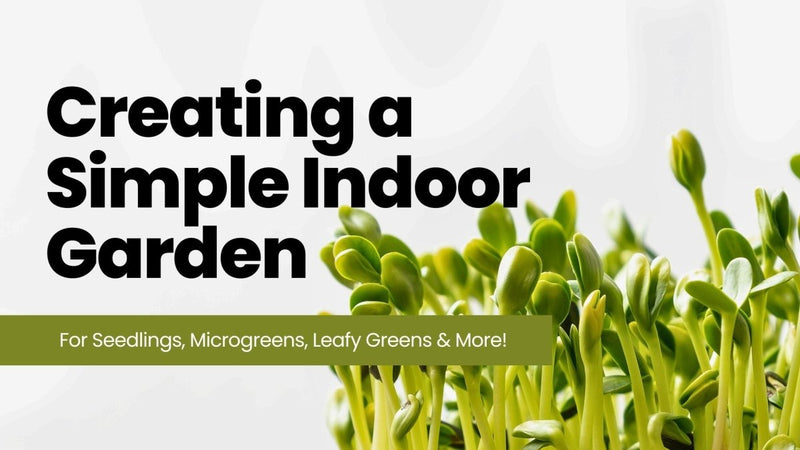 Creating an Indoor Garden for Seed Starting, Leafy Greens, Herbs and Microgreens - Indoor Farmer