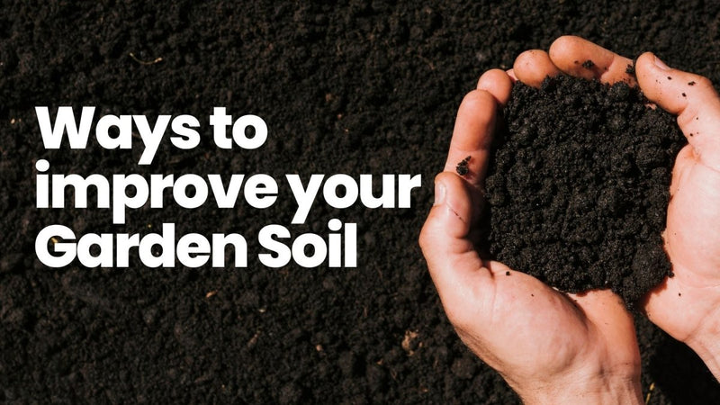 Improve your garden soil for healthier plants - Indoor Farmer