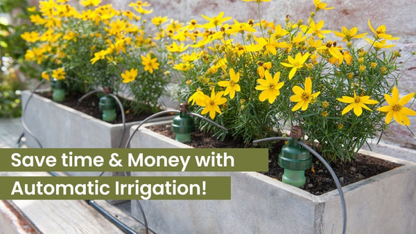 Save Time & Money with Automatic Irrigation - Indoor Farmer