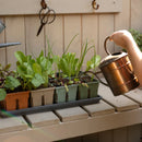 Sproutbox Seed Starting Kit - Multicolour