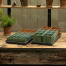 Sproutbox Seed Starting Kit - Multicolour