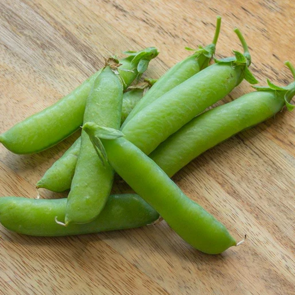 Alaska Pea Heirloom Seeds