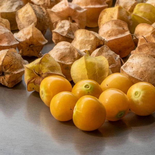 Aunt Molly's Ground Cherry Seeds