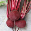Detroit Supreme Beet Seeds