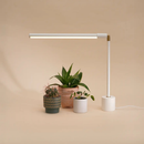Soltech Versa Tabletop Grow Light
