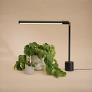 Soltech Versa Tabletop Grow Light