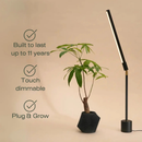 Soltech Versa Tabletop Grow Light