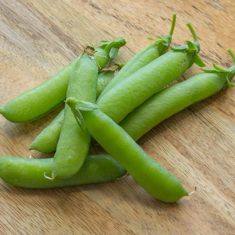 Alaska Pea Heirloom Seeds 25g (Approx. 110 seeds) - Indoor Farmer