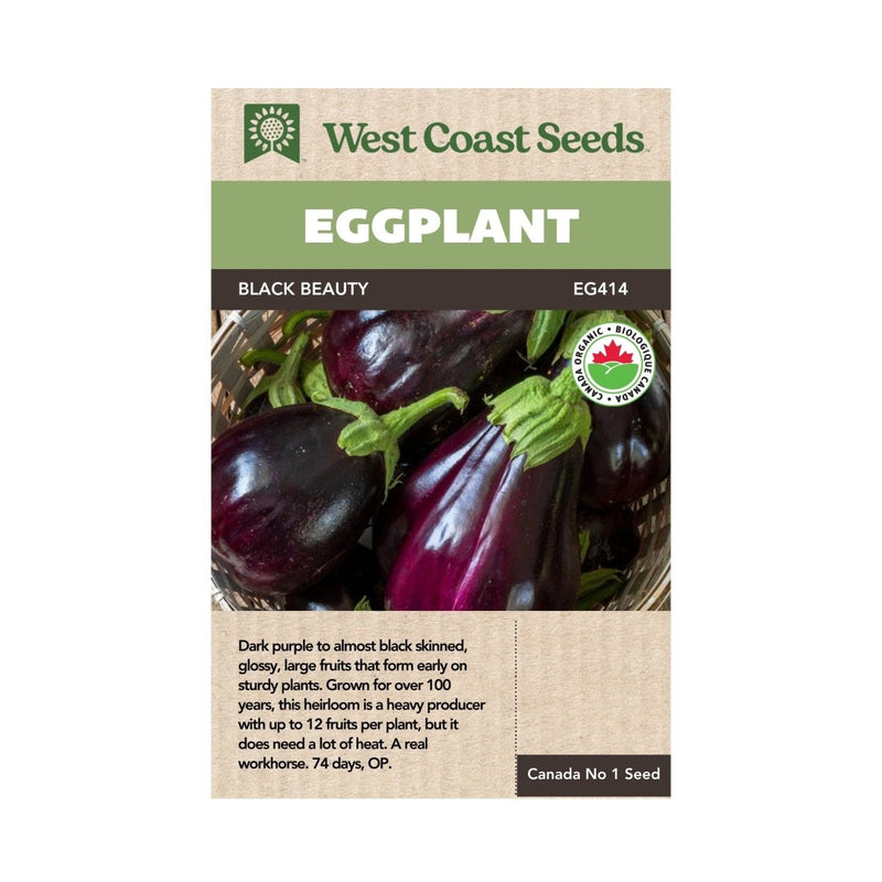 egg plant seeds Black Beauty Organic Eggplant Seeds