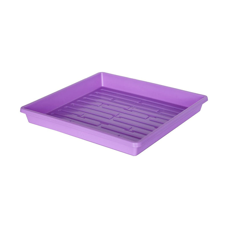 Bootstrap Farmer 1010 Extra Strength Shallow Seed Trays Purple - Indoor Farmer