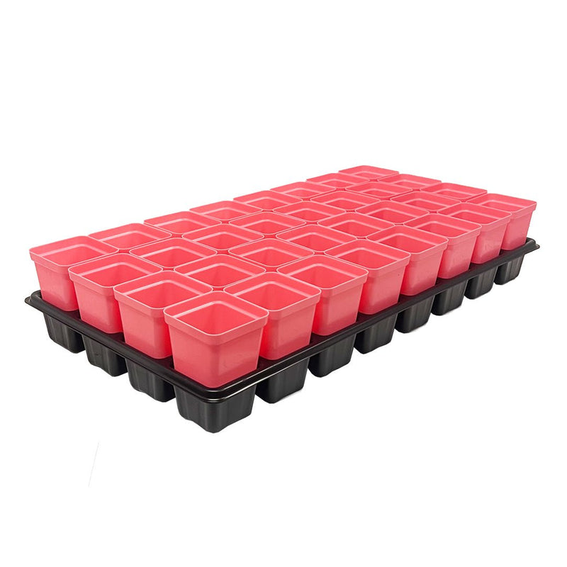 Bootstrap Farmer 32 Cell Reusable Plant Starter Trays with 2.5" Pots Pink - Indoor Farmer