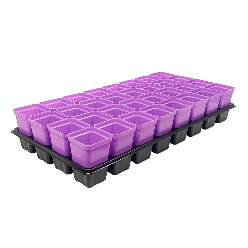 plant cell pots Bootstrap Farmer 2.5" Heavy Duty Seed Starter Pots with Tray Insert