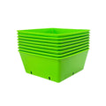 Bootstrap Farmer 5X5 Extra Strength Grow Trays Green - Indoor Farmer