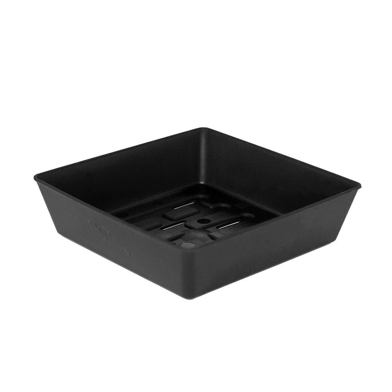 Bootstrap Farmer 5X5 Shallow Microgreen Trays Black - Indoor Farmer