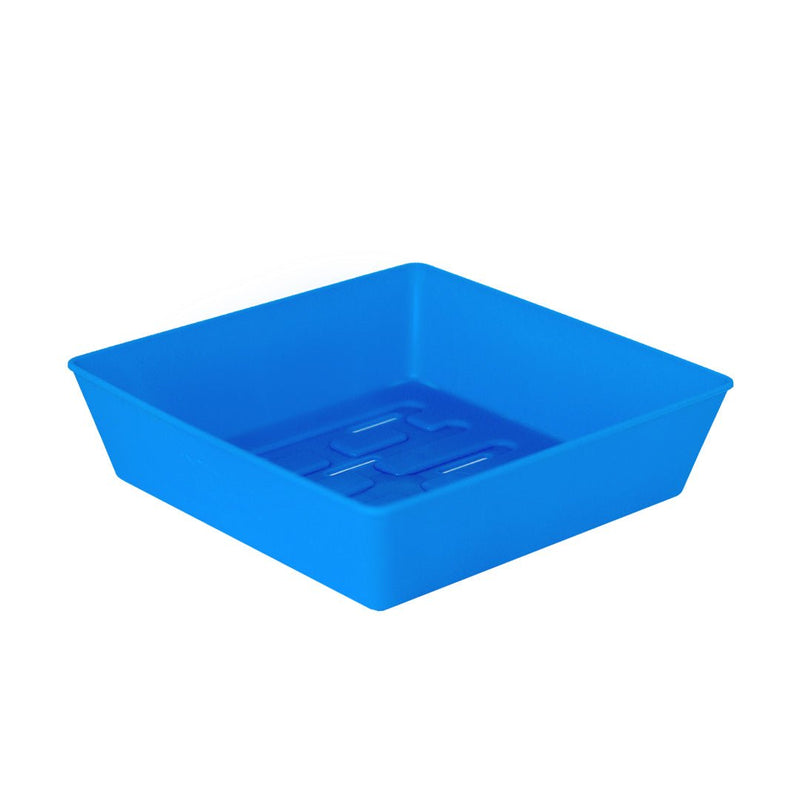 Bootstrap Farmer 5X5 Shallow Microgreen Trays Blue - Indoor Farmer