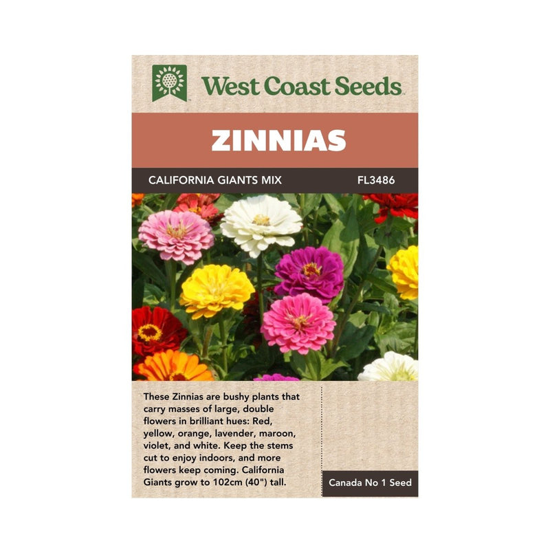 plant zinnia seeds indoors California Giants Mix Zinnia Seeds