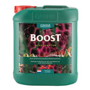 CANNA Boost Accelerator 5L - Indoor Farmer