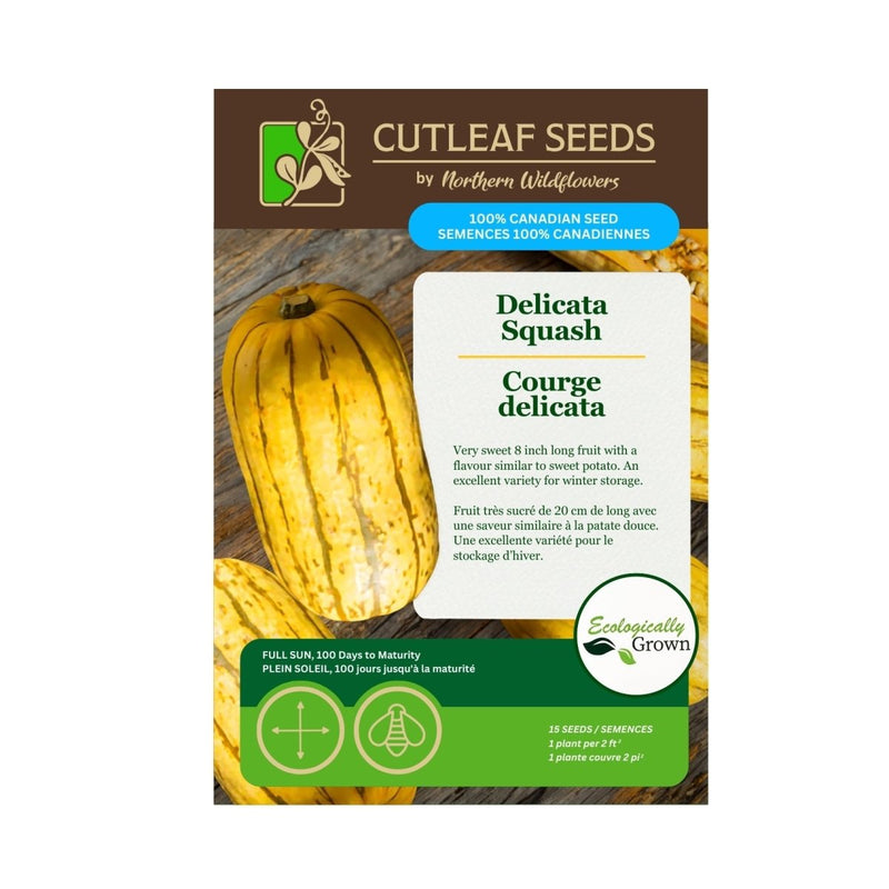 planting delicata squash seeds Delicata Squash Seeds