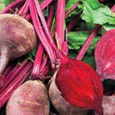 Detroit Supreme Beet Seeds 5g(Approx. 300Seeds) - Indoor Farmer