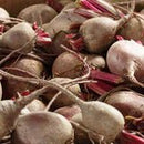 Detroit Supreme Beet Seeds 5g(Approx. 300Seeds) - Indoor Farmer