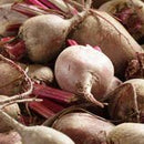 Detroit Supreme Beet Seeds 5g(Approx. 300Seeds) - Indoor Farmer