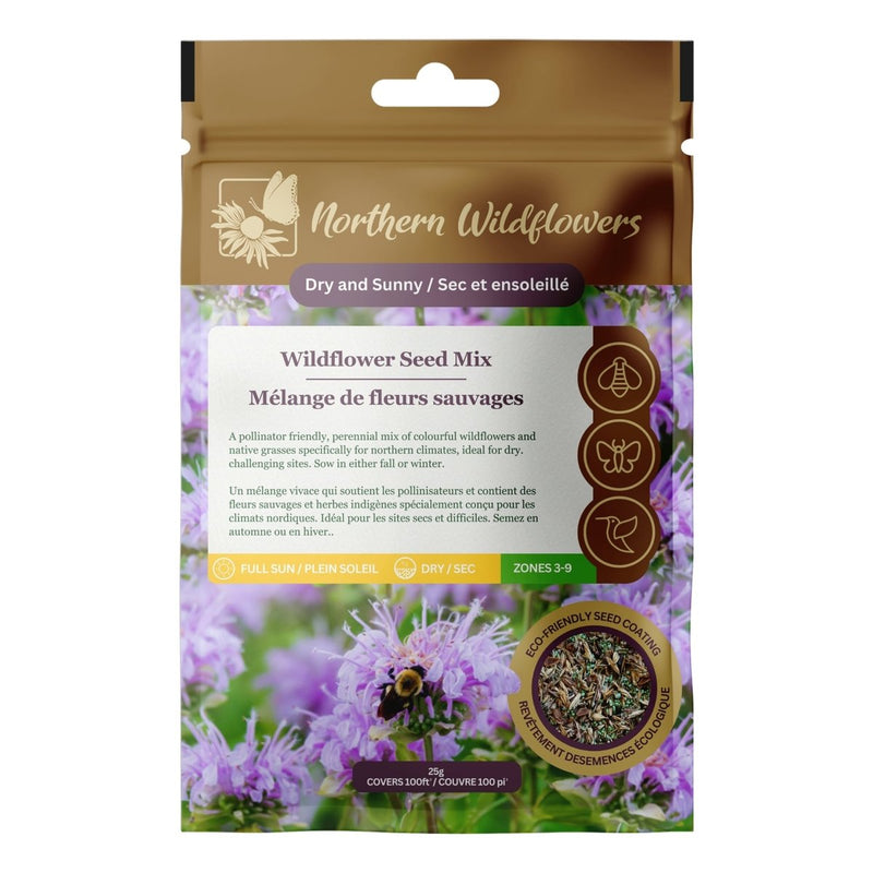 dry area wildflower seed mix Dry and Sunny Wildflower Seed Mix