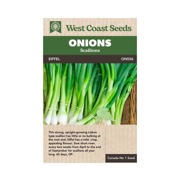 Eiffel Scallion Seeds 1g (Approx. 272 seeds) - Indoor Farmer