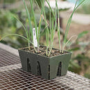 Epic Gardening The Epic Seed Starting Bundle - Indoor Farmer