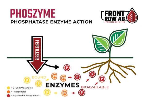 Front Row Ag PHOSZYME 5 LB - Indoor Farmer