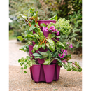 GreenStalk 3 Tier Original Vertical Planter Razzleberry - Indoor Farmer