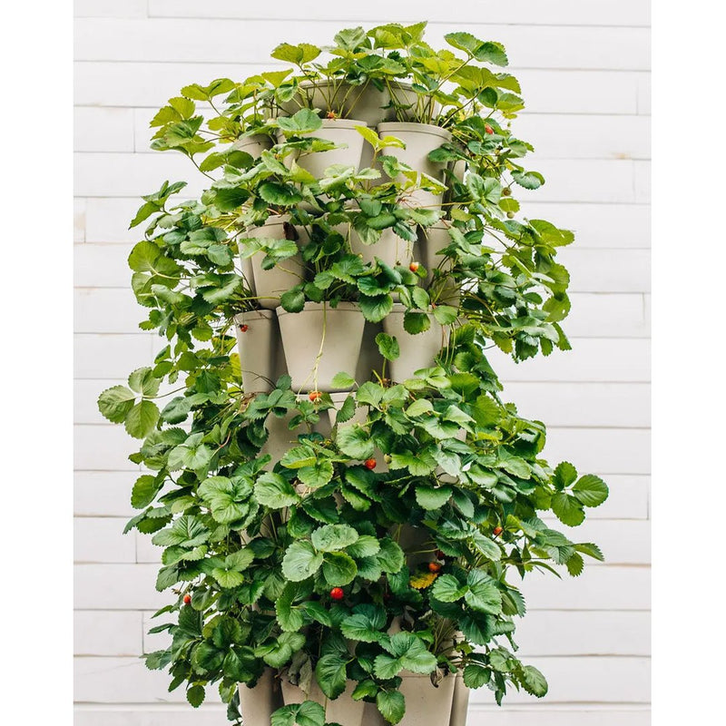 GreenStalk 7 Tier Leaf Vertical Planter - Basic Texture Maple - Indoor Farmer