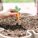 GreenStalk Carrot Cap - Set of 4 - Indoor Farmer