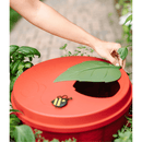 GreenStalk Garden Lid Tomato - Indoor Farmer