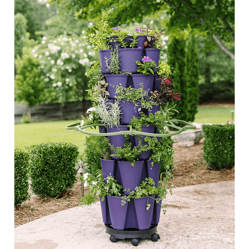 GreenStalk Original & Leaf Inventor's Bundle Blackberry - Indoor Farmer