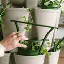 GreenStalk Trellis - Set of 3 - Indoor Farmer