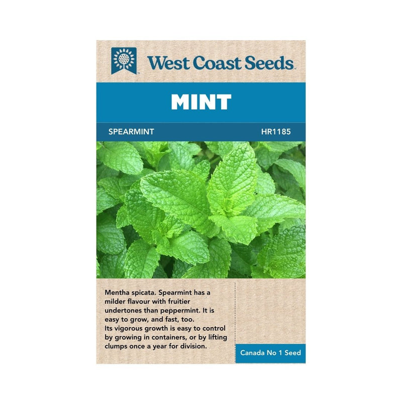 spearmint plant seeds Spearmint Seeds